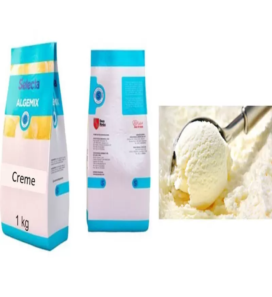 BASE SORVETE ALGEMIX CREME 1KG