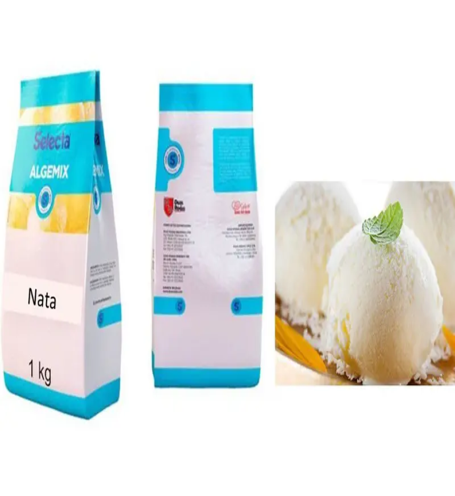 BASE SORVETE ALGEMIX NATA 1KG