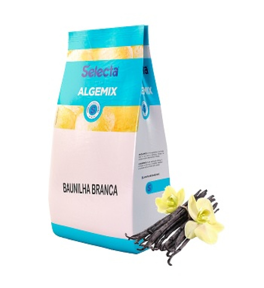 BASE SORVETE ALGEMIX BAUNILHA BRANCA